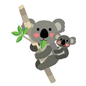 :koala2